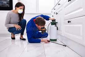 Best Organic or Eco-Friendly Pest Control  in Bolindale, OH